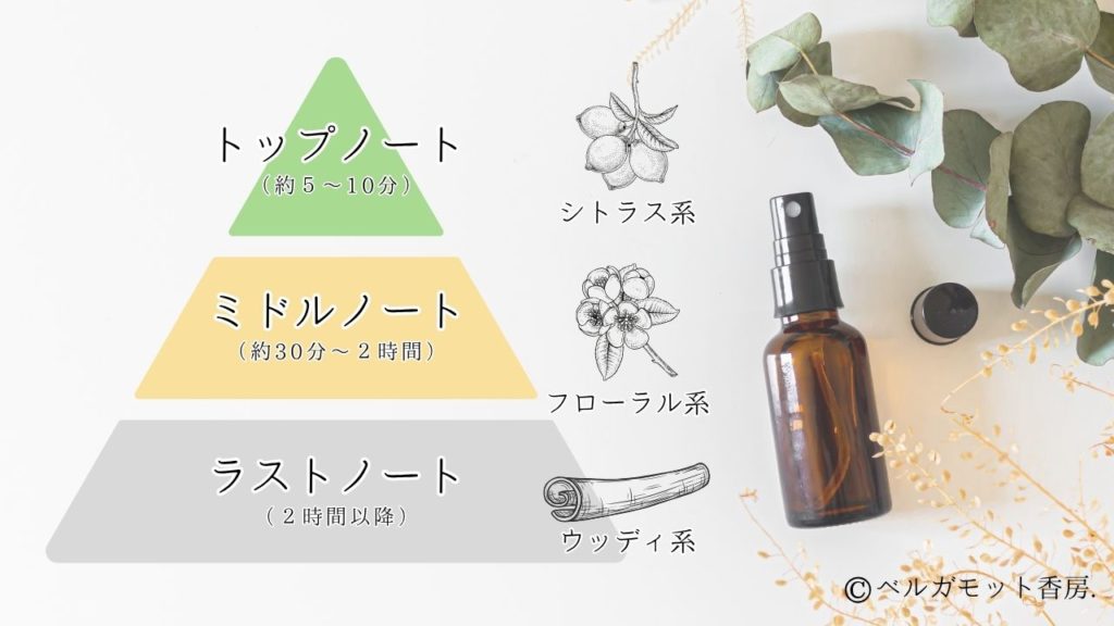ベルガモットの香りの構成：トップノート・ミドルノート・ラストノート