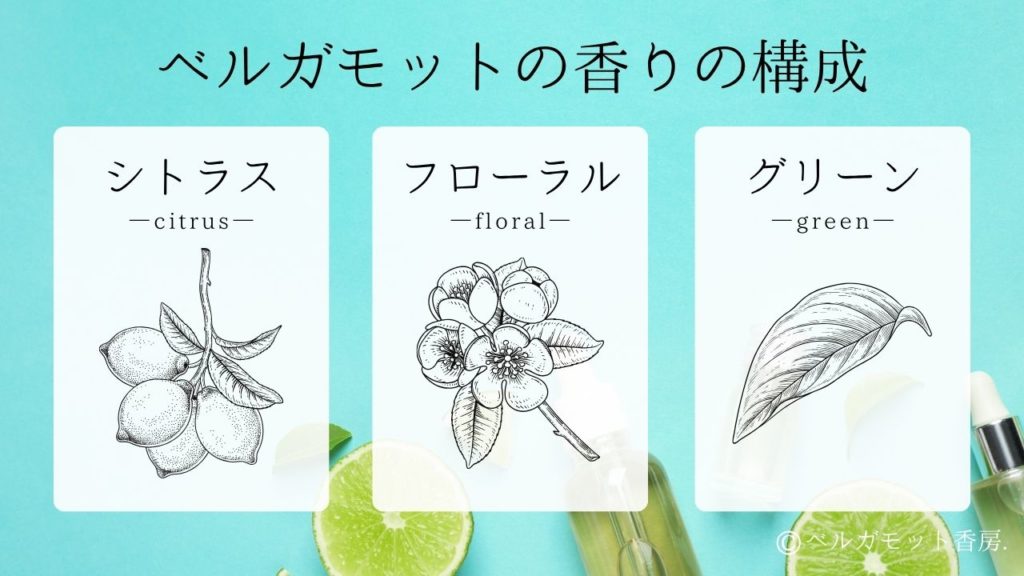 ベルガモットの香りの構成：シトラス × フローラル × グリーン