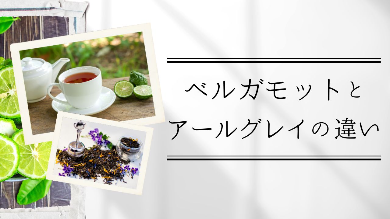 ベルガモットとアールグレイの違い
