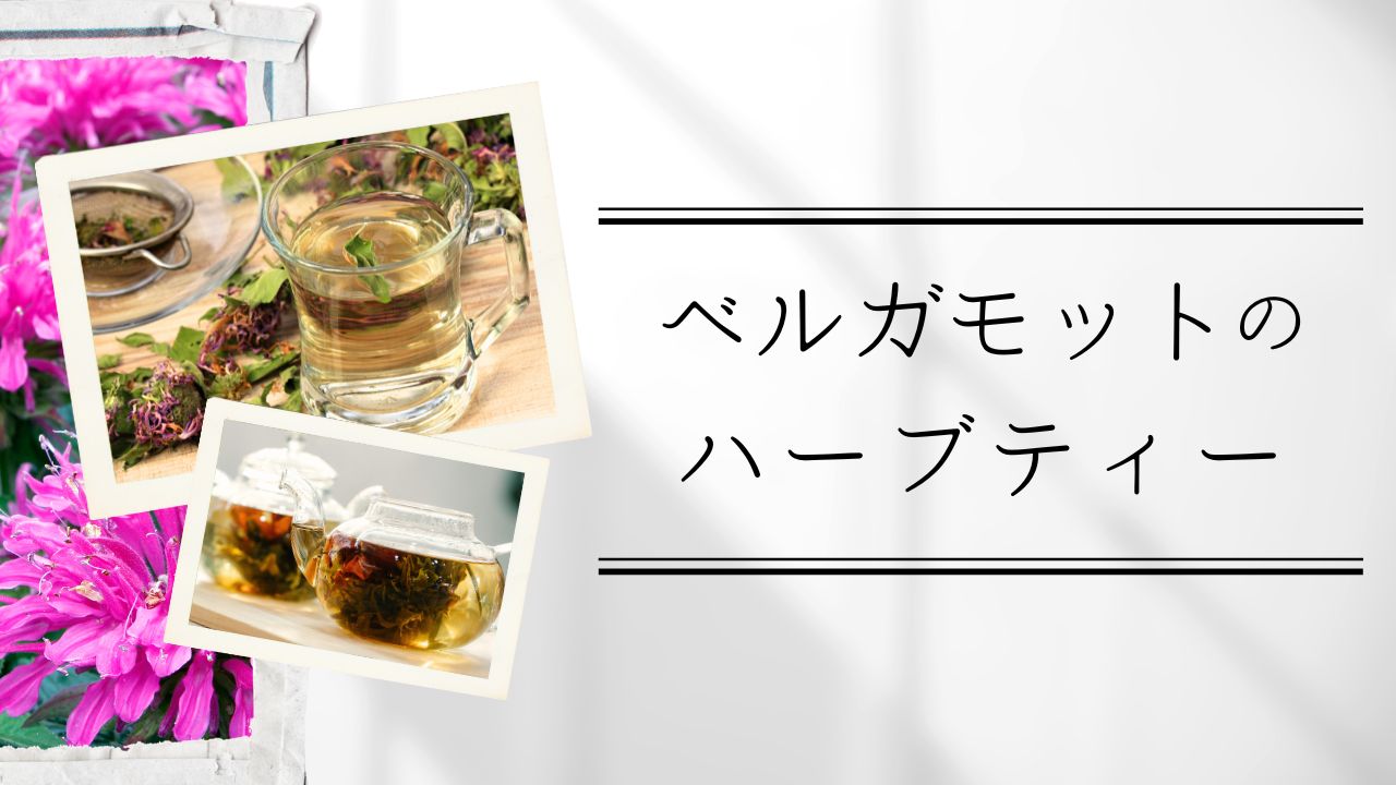ベルガモットのハーブティー