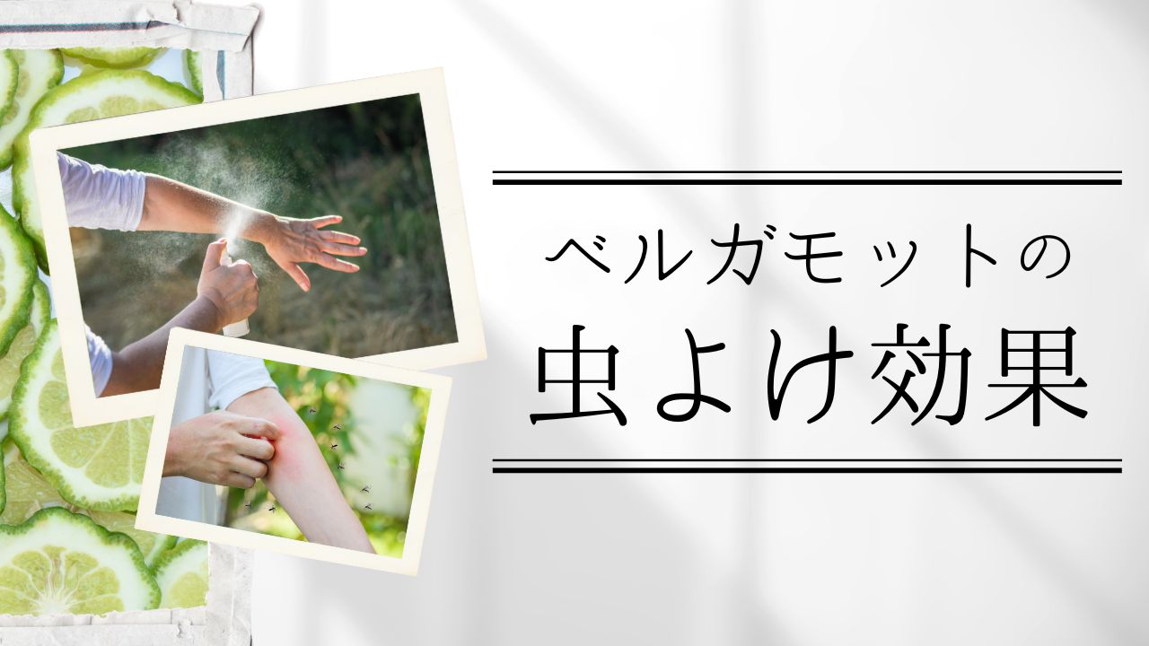 ベルガモットの虫よけ効果