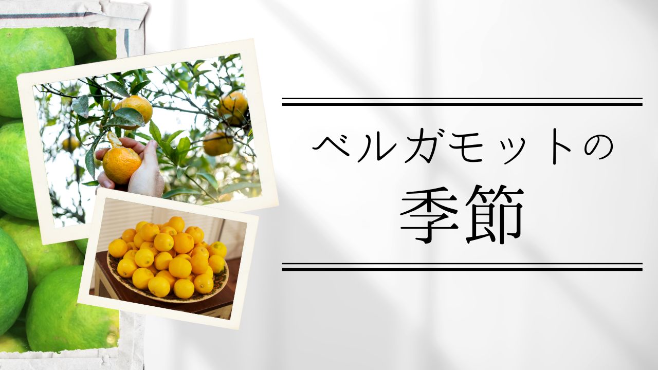 ベルガモットの季節